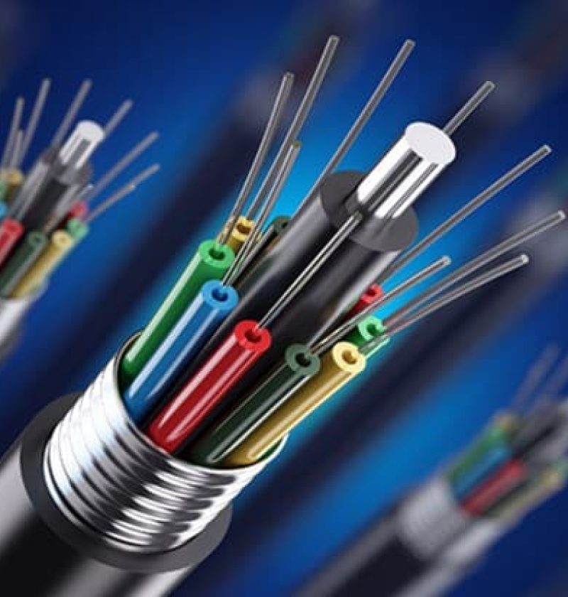 Fiber